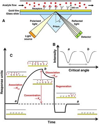 Exploring Graphene and MoS2 Chips Based Surface Plasmon Resonance Biosensors for Diagnostic Applications